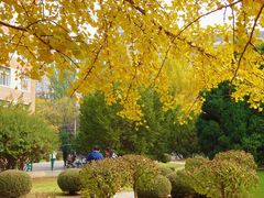 -辽宁大学(崇山校区)