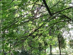 -成都市活水公园