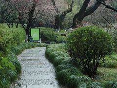 -常熟方塔园