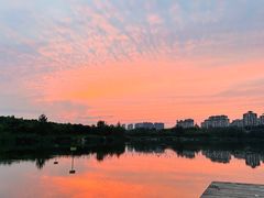 -马家湾湿地公园