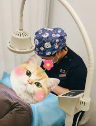 -和颜一美轻医美连锁