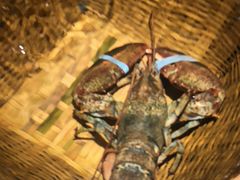 -拉完海鲜大排档(温岭店)