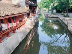 -鲁镇