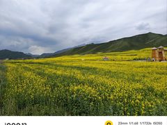 -扁都口生态休闲旅游区