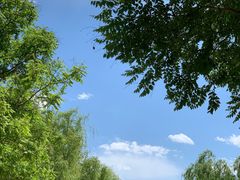 -大兴滨河森林公园