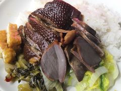 -乌文新澄海卤鹅店