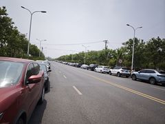 -上海佘山国家森林公园天马山园