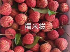 -鹏城八珍深圳特产手信(罗湖店)