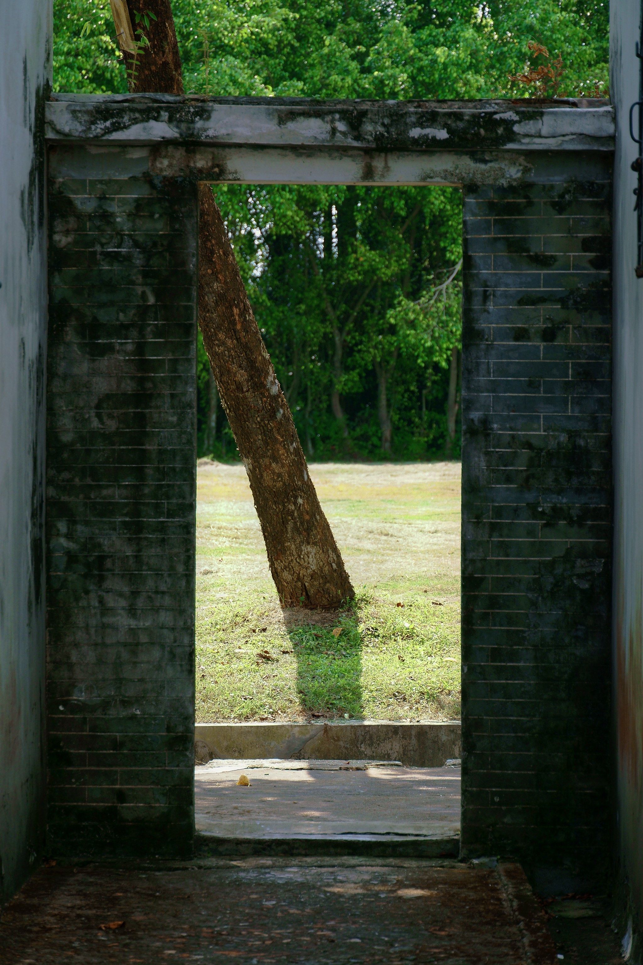 广东开平碉楼群:立园