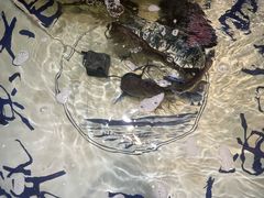 -南京金牛湖巨碗鱼头