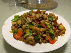 爆炒野生狗鱼块-煲来饱去冷水鱼