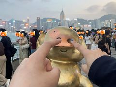 -星光大道