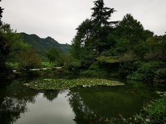 -中国茶叶博物馆(双峰馆区)