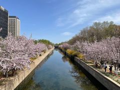 -海棠花溪(元大都城垣遗址公园)