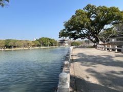 -江心屿景区