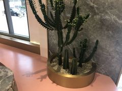-蜜思琪蛋糕(民生路店)