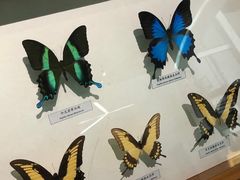 -昆明动物博物馆