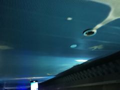 -白鹤梁水下博物馆