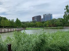 -大望京公园