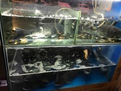 水产区-浔味·山屿湖·正宗淳牌全鱼宴老字号