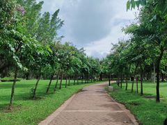 -白沙门生态公园