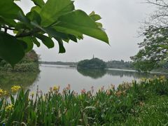 -海珠湖公园