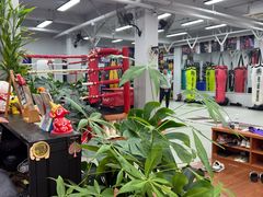 -TFC 纯泰拳馆MuayThai