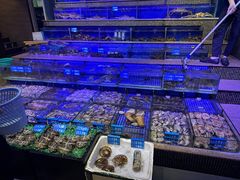 -青蓬蒸汽海鲜·深圳老字号·团建聚会(壹方城店)