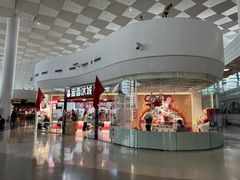 -郑州新郑国际机场-T2航站楼