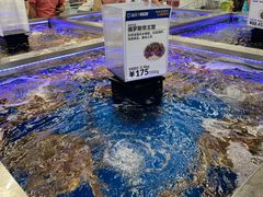 -盒马X会员店(上海森兰商都店)