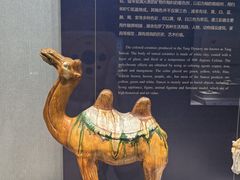 -镇江博物馆