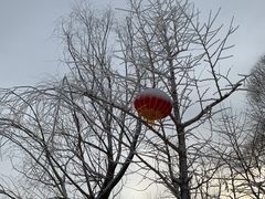 -北京亚布洛尼朝阳公园滑雪场