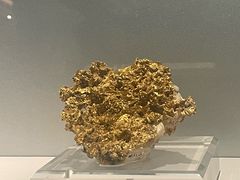 -中国地质博物馆