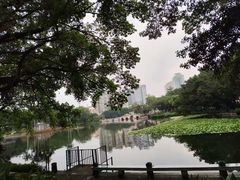 -荔湾湖公园
