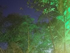 -花水湾第一村温泉大酒店