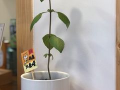 -呷贺盐酥鸡(抄纸巷店)