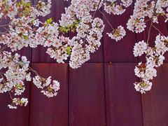 -龙美术馆(西岸馆)