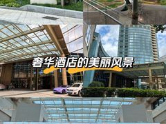 -上海外滩茂悦大酒店