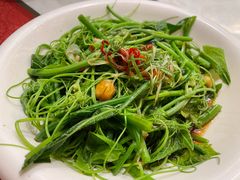 -巴依老爷新疆美食(魏公村店)