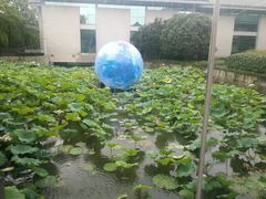 -绍兴鉴湖君澜大酒店