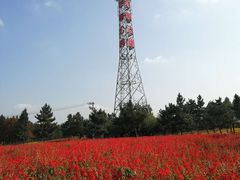 -羊亭河湿地公园