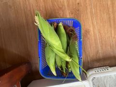 -南汇新场正宗水蜜桃采摘