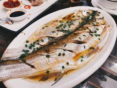 -呼吸森林·生态农庄农家乐私房菜