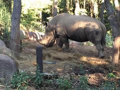 -清迈夜间动物园