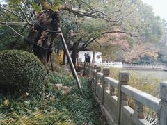 -汇龙潭