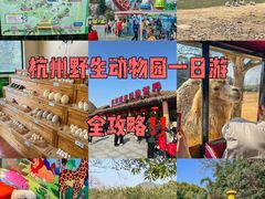 -杭州野生动物世界