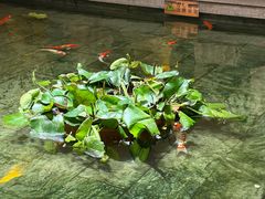 -惠食佳(滨江大公馆店)