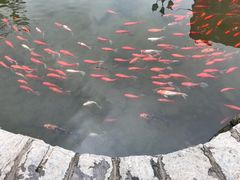 -竹泉村旅游度假区