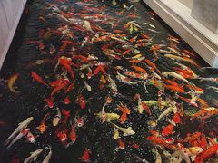 -龙悦湾酒家·八阵鱼生·渔人码头店