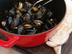 法式蓝贻贝-EN SPACE恩空间